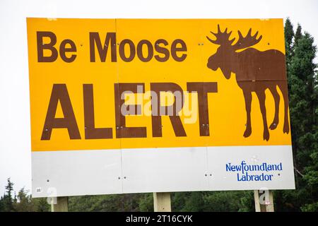 Segnale BE Moose Alert a Deer Lake, Newfoundland & Labrador, Canada Foto Stock