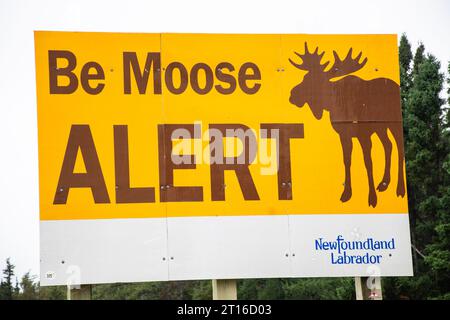 Segnale BE Moose Alert a Deer Lake, Newfoundland & Labrador, Canada Foto Stock