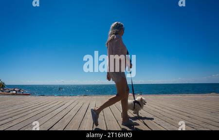 13 agosto 2022, Toronto, Canada - Una donna caucasica in costume estivo cammina il suo piccolo cucciolo in affitto sulla passerella del lago Ontario Foto Stock