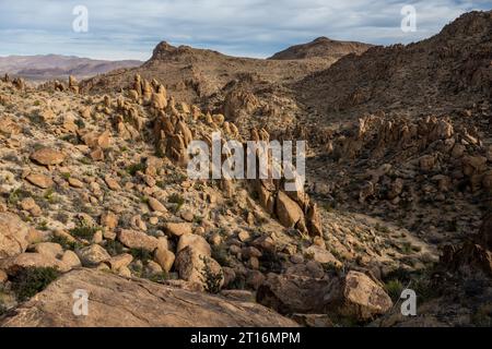 Vista dalla cima delle Grapevine Hills nel Big Bend National Park Foto Stock