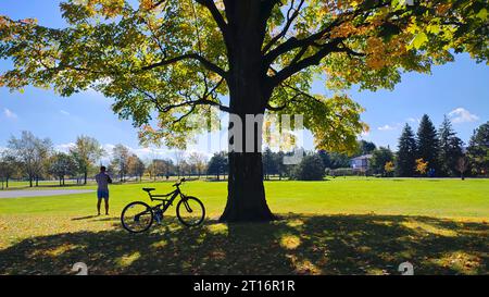 Riposati dopo aver pedalato nel parco pubblico con il colore delle foglie autunnali Foto Stock