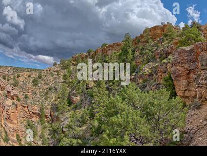 Vista del Navajo Point da sotto le sue scogliere al Grand Canyon South Rim Arizona. Foto Stock