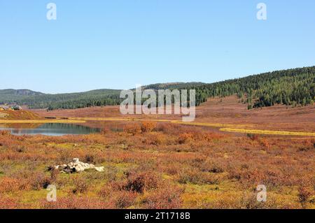 Una grande radura di erba ingiallita su una collina con una foresta di conifere e un bellissimo lago in pianura. Altai, Siberia, Russia. Foto Stock