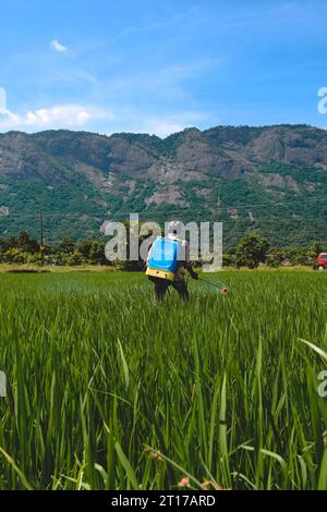 Un agricoltore che spruzza pesticidi Foto Stock