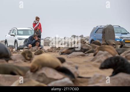 Swakopmund, Namibia. 11 ottobre 2023. I turisti potranno ammirare le otarie orsine del Capo nella riserva delle foche di Cape Cross, Namibia, 11 ottobre 2023. La costa della Namibia ospita la Cape Cross Seal Reserve, uno dei più grandi insediamenti di otarie orsine del Capo al mondo. Crediti: Chen Cheng/Xinhua/Alamy Live News Foto Stock