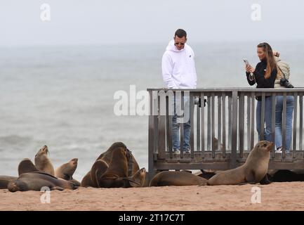 Swakopmund, Namibia. 11 ottobre 2023. I turisti potranno ammirare le otarie orsine del Capo nella riserva delle foche di Cape Cross, Namibia, 11 ottobre 2023. La costa della Namibia ospita la Cape Cross Seal Reserve, uno dei più grandi insediamenti di otarie orsine del Capo al mondo. Crediti: Chen Cheng/Xinhua/Alamy Live News Foto Stock