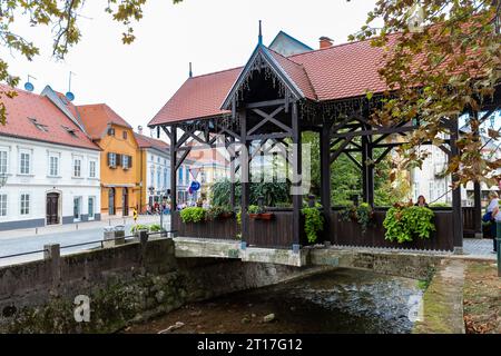 Samobor è una città della contea di Zagabria e fa parte dell'area metropolitana di Zagabria. È una città pittoresca con bellissime strade acciottolate e la sua Foto Stock