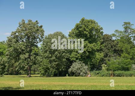 Clara-Zetkin-Park, Lipsia, Sachsen, Deutschland Foto Stock