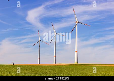 Tre turbine eoliche di diverse dimensioni su un campo agricolo accanto a un albero molto piccolo e stordito Foto Stock