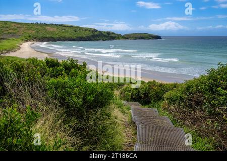 Killalea Beach (The Farm Beach), Killalea Regional Park, Shell Cove, nuovo Galles del Sud, Australia Foto Stock