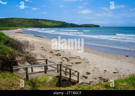 Killalea Beach (The Farm Beach), Killalea Regional Park, Shell Cove, nuovo Galles del Sud, Australia Foto Stock