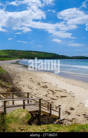 Killalea Beach (The Farm Beach), Killalea Regional Park, Shell Cove, nuovo Galles del Sud, Australia Foto Stock