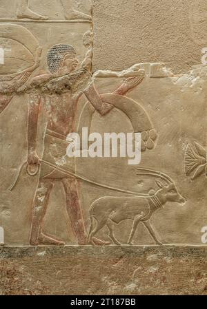 Bauer mit Ziege, Relief in den Grabbauten des Idut, Unas-Ank und Inefert, Nekropole von Sakkara, Ägypten Foto Stock