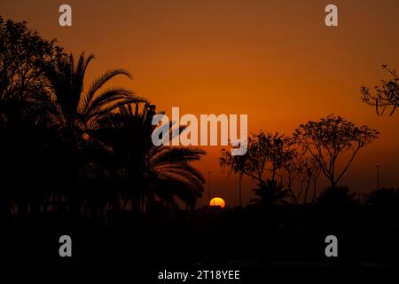 Splendido tramonto dai parchi di Dubai con le sfumature degli alberi Foto Stock