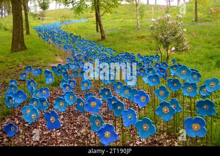 Sculture in ceramica dipinte a mano dei papaveri blu dell'Himalaya dell'artista Anna Whitehouse in mostra nel giardino e parco delle sculture dell'Himalaya. Inghilterra, Regno Unito. Foto Stock