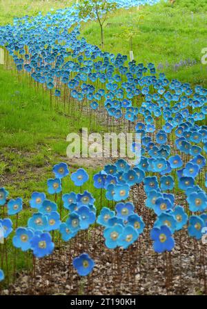 Sculture in ceramica dipinte a mano dei papaveri blu dell'Himalaya dell'artista Anna Whitehouse in mostra nel giardino e parco delle sculture dell'Himalaya. Inghilterra, Regno Unito. Foto Stock