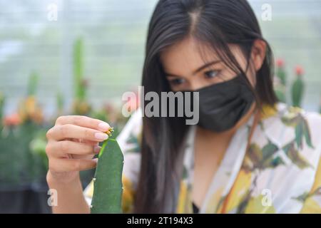 Ritratto di una donna che cura un cactus in una serra, Thailandia Foto Stock