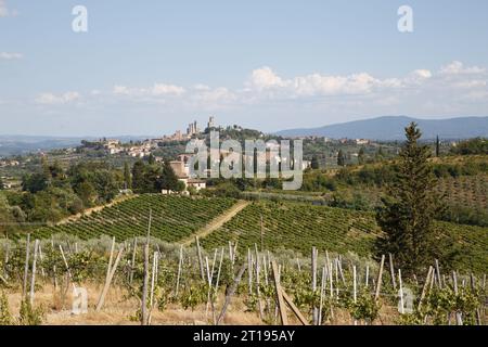 Panorama di San Gimignano e vigneti intorno a questa bellissima città italiana, l'Italia Foto Stock