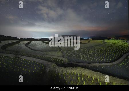 Vista aerea delle risaie terrazzate al tramonto, Pa Pong Pieng, Chiang mai, Thailandia Foto Stock