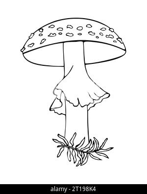 Disegna la mano agarica. Illustrazione vettoriale del contorno lineare. Illustrazione vettoriale Illustrazione Vettoriale