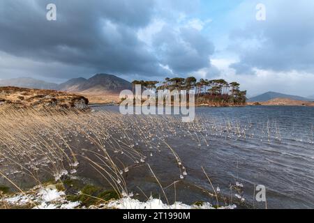 Pine Island nel cuore del Connemara National Park durante la tempesta Ophelia Foto Stock