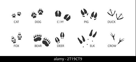 Icona nera Set Tracks animale. Impronte di animali e uccelli. Illustrazione vettoriale isolata Illustrazione Vettoriale