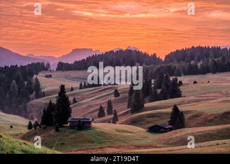 Campagna agricola collinare con capanne e alberi in legno presso l'Alpe di Siusi, Alpe di Siusi all'alba. Foto Stock