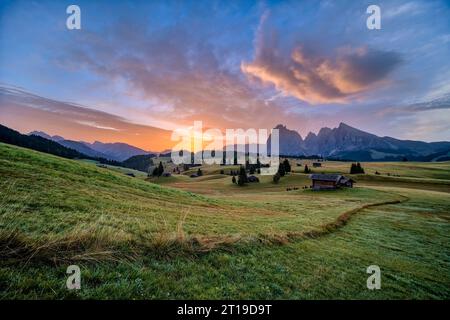 Campagna agricola collinare con capanne e alberi in legno presso l'Alpe di Siusi, l'Alpe di Siusi, il monte Plattkofel, in lontananza, all'alba. Foto Stock