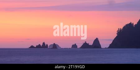 Pile di mare a Rialto Beach nell'Olympic National Park, Washington, Stati Uniti. Foto Stock