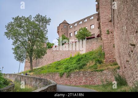 Burg, Wertheim, Baden-Württemberg, Deutschland Foto Stock