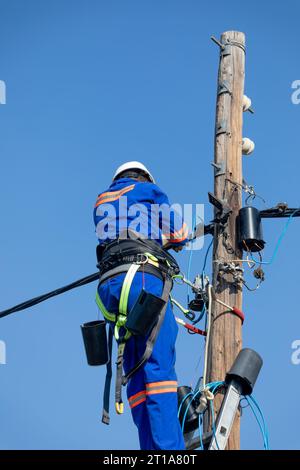 elettricista che indossa una cintura e un elmetto su una scala su un palo di legno per riparare l'elettricità Foto Stock