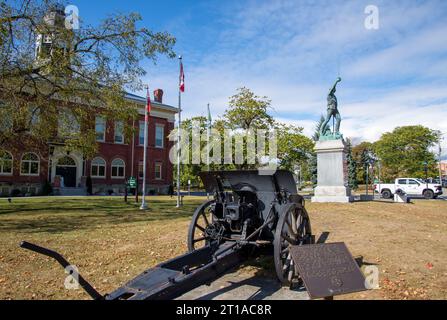 Salmone Run nel fiume Ganaraska. Port Hope, AVANTI. Canada Foto Stock