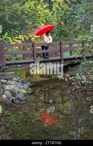 Una donna con un ombrello rosso si trova su un piccolo ponte pedonale che si estende su un torrente vicino al lago Robinson, nel nord dell'Idaho. Foto Stock