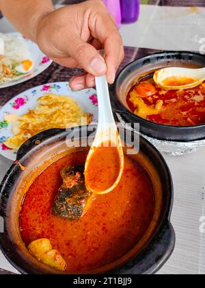 Primo piano del Malaysian Dish Asam Pedas. Pesce cucinato con sugo di carne piccante, un popolare piatto di Malacca in Malesia. Foto Stock