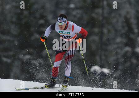 HAUKE Max AUT Aktion FIS Cross-Country World Cup presentato da Viessmann a Lillehammer, Norwegen AM 05.12.2014 Foto Stock