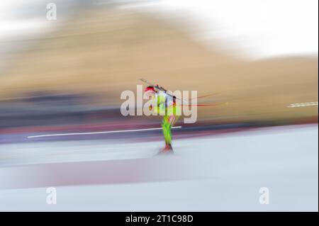 Biathlon allgemein Biathlon Welt Cup 15 KM Einzelwettkampf der Frauen a Ruhpolding, Deutschland AM 10.01.2014 Foto Stock