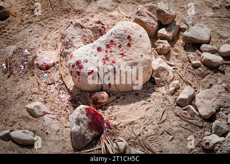 Close up di macchie di sangue fresco sul pietrisco trucioli nel deserto. Omicidio con l uso della pietra. Attaccare con hard rock. Uccisione nel deserto. Loc Foto Stock