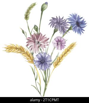 Acquerello dipinto a mano di fiori di mais e bouquet di grano, clipart di fiori selvatici, composizione floreale prato Foto Stock