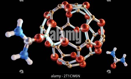 Interazione delle nanogabbie B24N24 con rendering 3d delle molecole di urea Foto Stock