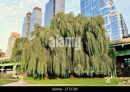 Far West Midtown Manhattan vicino al fiume Hudson Foto Stock