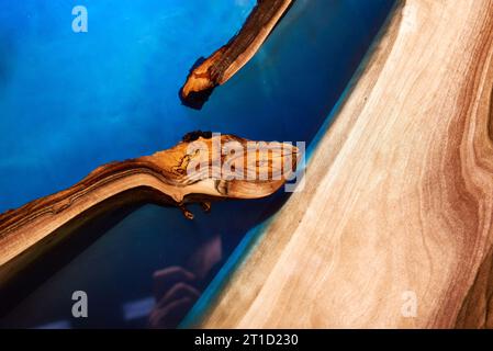 La natura del legno con colata di resina epossidica di colore blu e rosso e  tecnica di stabilizzazione per DIY Foto stock - Alamy