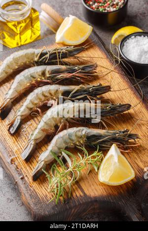 Gamberi tigre crudi con limone ed erbe in primo piano sulla tavola di legno su sfondo grunge scuro. Verticale Foto Stock
