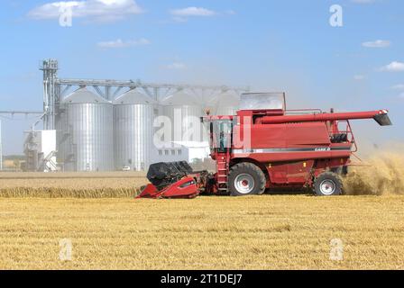 Raccolta del grano in estate nel dipartimento di Loiret (Francia centro-settentrionale): Raccolta di mietitrebbie e silos cooperativi sullo sfondo Foto Stock