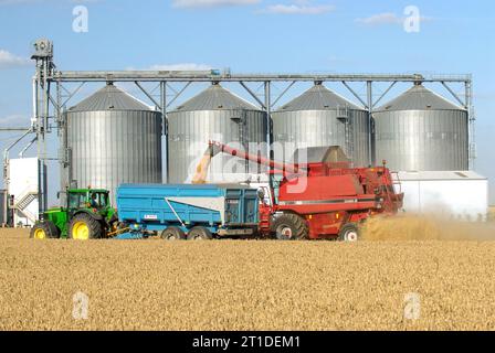 Raccolta del grano in estate nel dipartimento di Loiret (Francia centro-settentrionale). Mietitrebbia e trattore con rimorchio, silos cooperativi nel backgrou Foto Stock