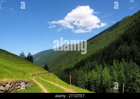 Vicino a St Gertrude nell'alto Ultental, alto Adige, Italia Foto Stock