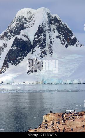 Antartide; Penisola Antartica; Isola di Peterman; colonia di pinguini; pinguini di Gentoo e Adelie; montagna coperta di neve e ghiacciaio sullo sfondo Foto Stock