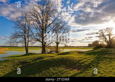 Atmosfera serale nella NSG Sulzheimer Gipshügel, distretto di Schweinfurt, bassa Franconia, Baviera, Germania Foto Stock