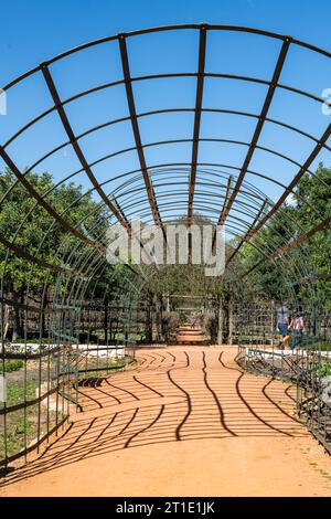 Passaggio nel giardino di Babylonstoren, vecchia fattoria, azienda vinicola, Franschhoek, provincia del Capo occidentale, Stellenbosch, Cape Winelands, Sudafrica, Africa Foto Stock