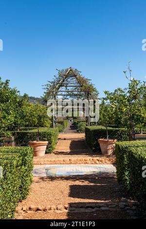 Nel giardino di Babylonstoren, vecchia fattoria, azienda vinicola, Franschhoek, provincia del Capo occidentale, Stellenbosch, Cape Winelands, Sudafrica, Africa Foto Stock