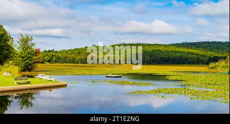 Nuota in zattera sul lago Star coperto di Lily Pads a Belmont, Vermont Foto Stock